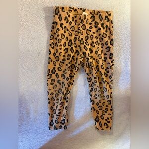 Leopard Print Leggings
